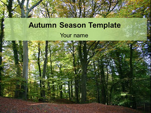 Sunshine forest nature ppt template