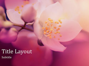 Warm flower background elegant purple ppt template