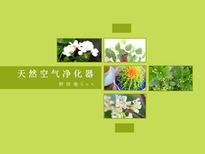 The impact of plants on the air environment ppt template