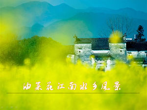 แม่แบบ PPT ทิวทัศน์เมืองน้ำข่มขืนดอกไม้ Jiangnan