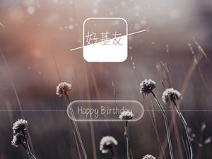 Flat small fresh birthday wishes ppt template