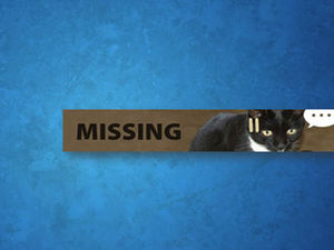 Template ppt dinamis pengumuman berburu kucing lucu