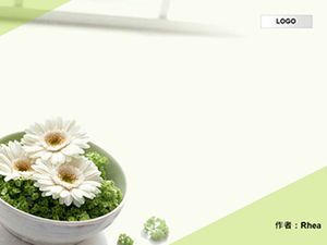 Jingyi elegant green background template