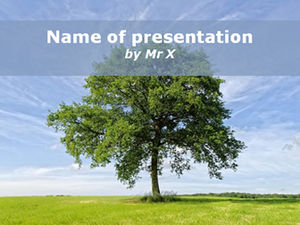 A big tree on the grass ppt template