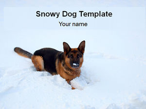雪pptテンプレートのオオカミ犬