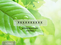녹색 잎 이슬 방울 배경 상쾌한 자연 PPT 템플릿