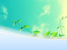 الربيع ورقة كرمة الشتلات قالب PPT