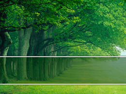 绿树成荫的大道自然ppt模板