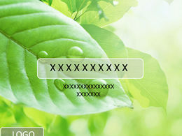 HD young leaves green refreshing natural ppt template