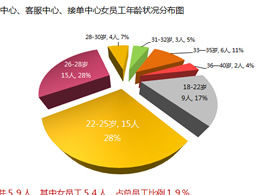 Modèle PPT de diagramme d'analyse de la structure du personnel en service de la région de Shenzhen
