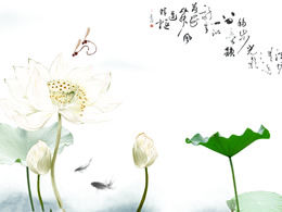 Plantilla ppt estilo Lotus-Chinese