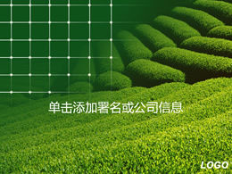 Green tea mountain natural landscape ppt template