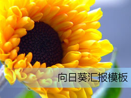 Element de floarea soarelui șablon ppt de raport personal de lucru