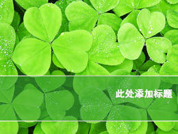 Clover HD background picture PPT nature template