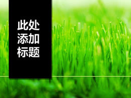 Black vertical title sprout green grass ppt template