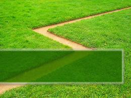 Modelo de natureza PPT de grama verde e estrada