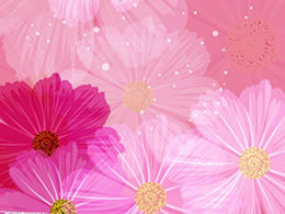 10美しい紫色の花びらPPT背景画像のダウンロード