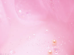 10 pink refreshing PPT background pictures package download