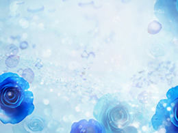 Fiori, petali, bellissime immagini di sfondo blu PPT 4 fogli
