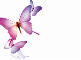Template ppt kupu-kupu ungu yang indah