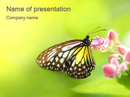 Butterfly collecting pollen ppt template