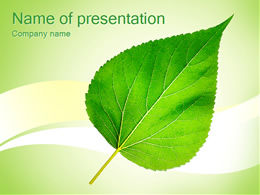 A piece of green leaf-environmental protection ppt template