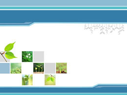 Spring green fresh ppt template