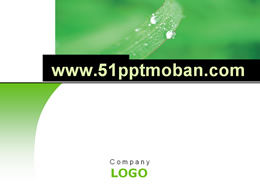Green leaves and dew-spring ppt template