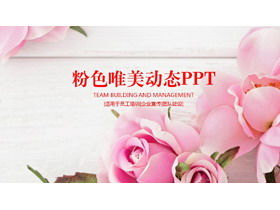 Template PPT latar belakang mawar merah muda yang indah