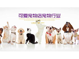Dogs and cats queuing background pet PPT template