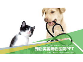 Puppy kitten background pet PPT template