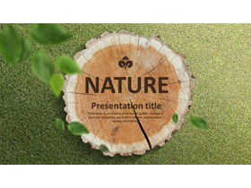 Tree rings wooden pile background PPT template