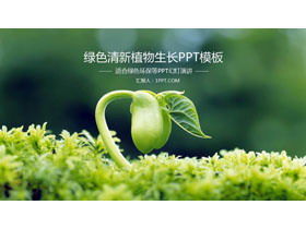 PPT-Vorlage für den Umweltschutz der grünen Sprossensämlingspflanze
