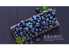 紫色水果藍莓PPT模板
