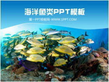 Bellissimo modello PPT di pesce scuola di pesce mondo sottomarino
