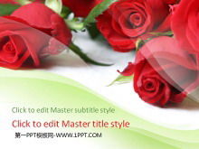 Template slide cinta dengan latar belakang mawar cerah