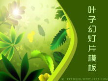 Elegant green plant leaf background artistic design PPT template