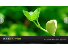 Download del modello di presentazione di piante in background con germogli verdi dinamici