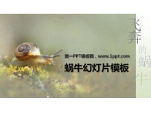 Fresh and elegant snail PowerPoint Template Fresh and elegant snail PowerPoint Template