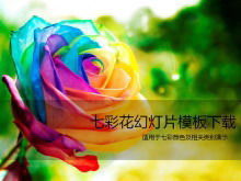قالب الورود الملونة الجميلة PPT