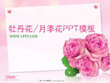 Download del modello PowerPoint di sfondo fiore rosa peonia elegante