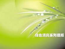Modelo de PowerPoint de fundo verde de planta refrescante