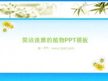 Elegante PPT-Vorlage für Chrysanthemen-Hintergrundpflanzen