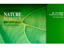 파워 포인트 템플릿-생명의 녹색 녹색 식물