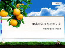 Template PPT tema buah tanaman latar belakang oranye