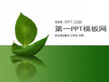 Simple leaf background plant PPT template download