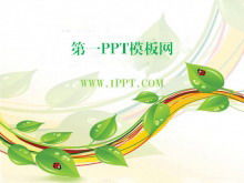 Cartoon rami di vite e foglie di sfondo download del modello PPT