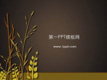 Rice wheat background plant slide template download