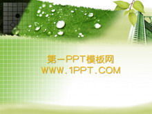 Download del modello PPT della pianta di sfondo verde foglia