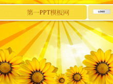 Download der Diashow-Vorlage für den Sonnenblumenhintergrund